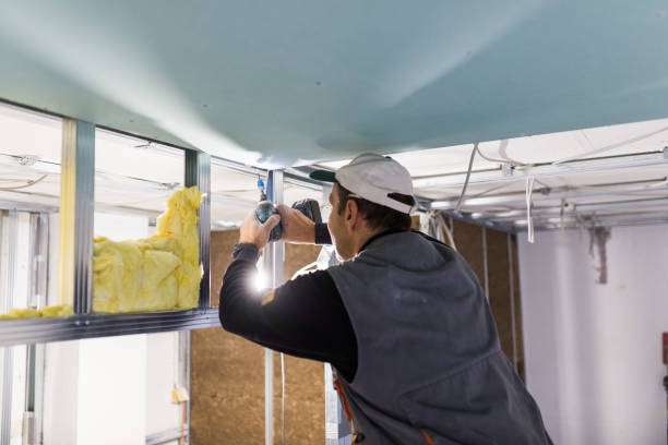 Best Insulation Materials and Products in Clinton, IA
