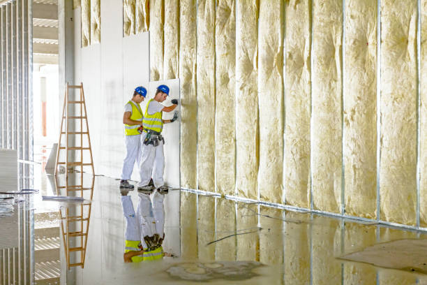 Best Residential Insulation in Clinton, IA
